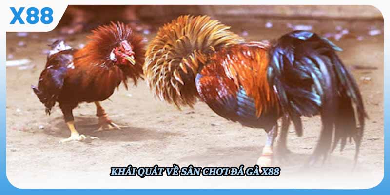 đá gà x88